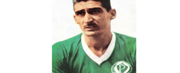 Júlio Botelho